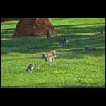 IMG_2792.JPG