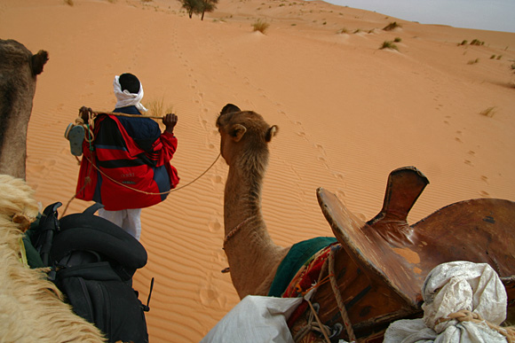 Camel trip