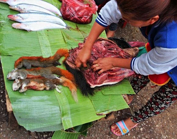 Čerstvé veverky, čerstvé ryby a usměvavé pantofle na ranním trhu v Luang Prabang