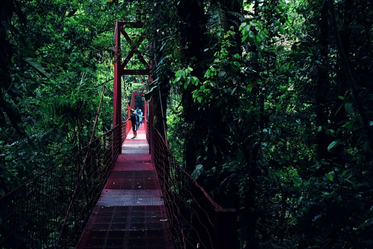 costarica2017-015 Turismus je v Kostarice náboženštvím a návštěvníci, hlavně ti s plnými peněženkami, jsou místními uctíváni a je o ně všelijak pečováno. Například bytelnými...