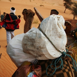 mauritania2009061