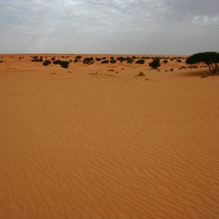 mauritania2009066