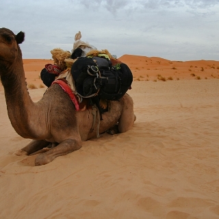 mauritania2009081