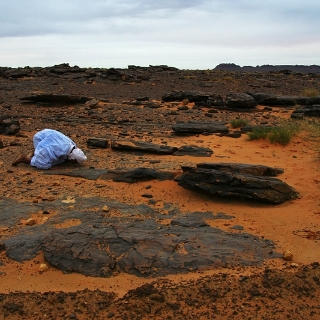 mauritania2009141