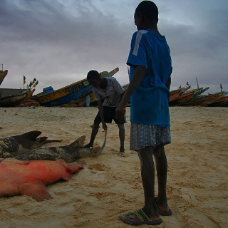 mauritania2009166