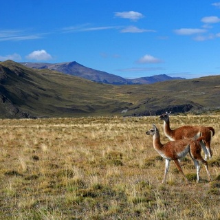 patagonia2011021