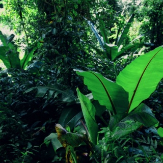 tanzania2006001