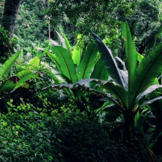 tanzania2006016