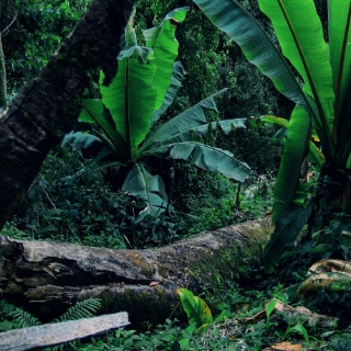 tanzania2006019
