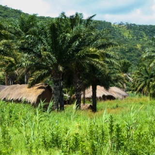 tanzania2006025