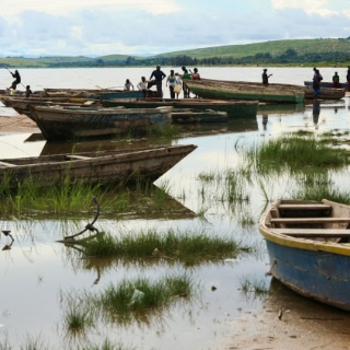 tanzania2006100
